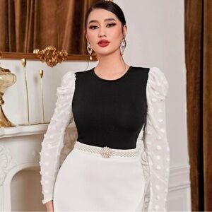 Two Tone Swiss Dot Women's Puff Sleeve Top